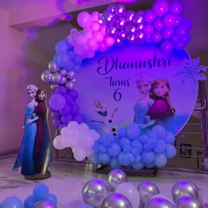 Frozen theme Elsa and Anna theme decor