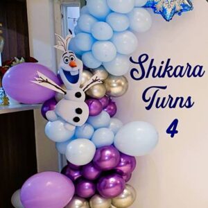 A Frozen Birthday Dream Balloon Decor