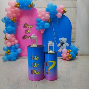 Babyshower-Blue & pink