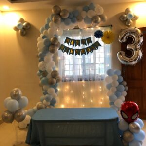 Birthday-Blue & White-Theme