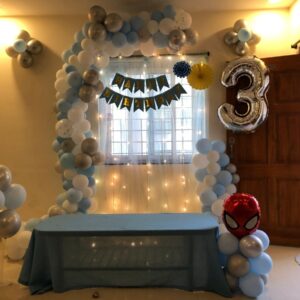 Birthday-Blue & White-Theme