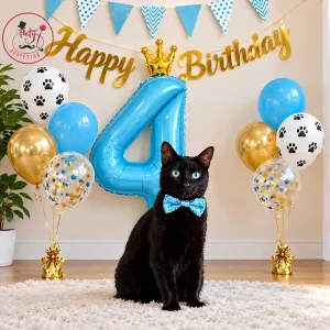 Royal Cat 4th Birthday Theme