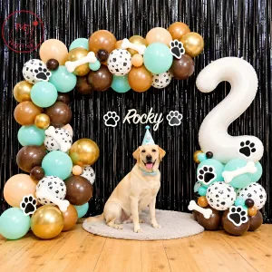 Rocky 2nd Birthday Dog Theme