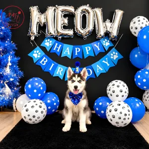 Meow Happy Birthday Husky Theme
