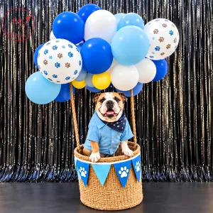 Dog Hot Air Balloon Basket Birthday Theme