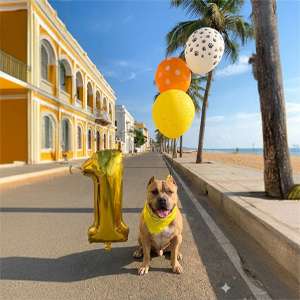Beachside First Birthday Dog Theme