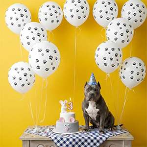 Yellow Background 3rd Birthday Dog Cake Setup