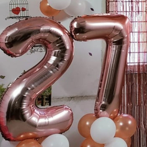 Rose Gold Birthday Decoration Kit with Foil Fringe Curtain, Balloon Garland Balloons.