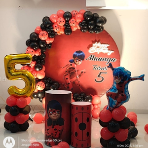 Ladybug Superhero Theme DIY Birthday Decoration