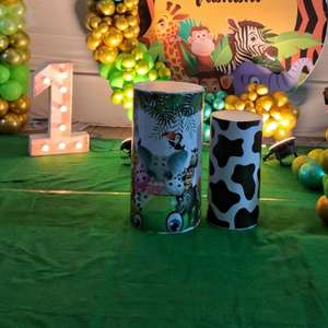 Jungle Safari Birthday Balloon Arch Decoration