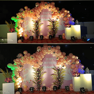 Peach Butterfly Princess Birthday Backdrop Decoration Kit