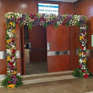 flowedeco55