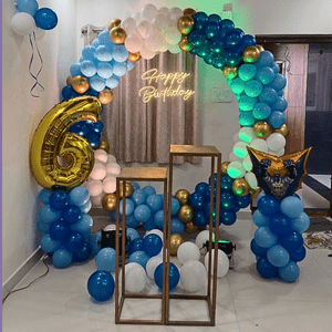 Blue Adventure 6th Birthday Decoration Kit