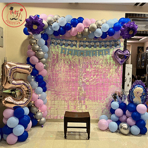 Frozen Princess Birthday Balloon Backdrop Decoration
